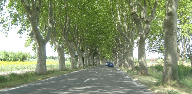 How Safe Are You On French Roads?